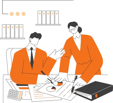 Link Audit